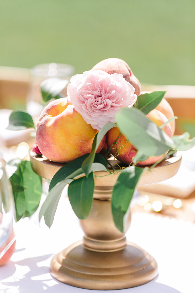 RAVINE VINEYARD // TAMARA LOCKWOOD