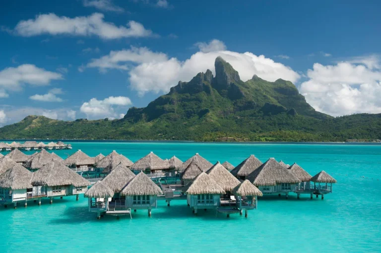 VENDOR SPOTLIGHT // THE TRAVEL AGENT NEXT DOOR