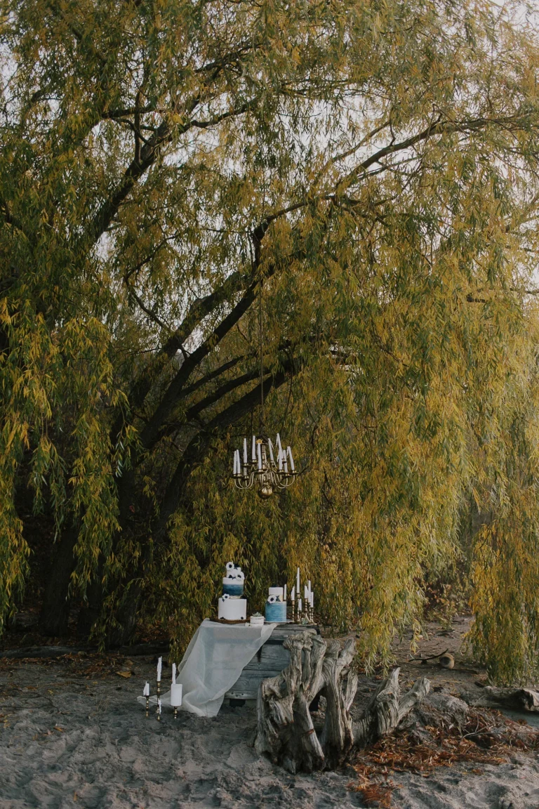 SEASIDE WEDDING INSPIRATION // NIAGARA EDITORIAL
