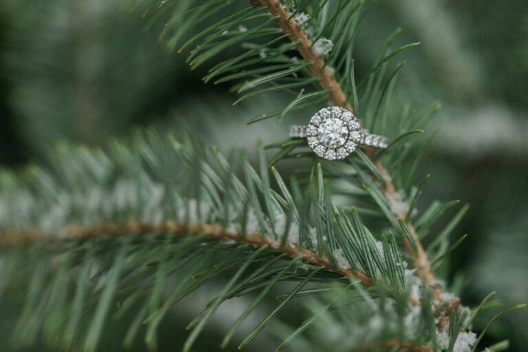 WINTER ENGAGEMENT SESSION GUIDE // DANIEL RICCI PHOTOGRAPHY