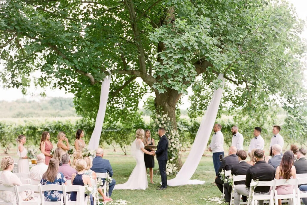 A ceremony taking place under a tree with sheer draping