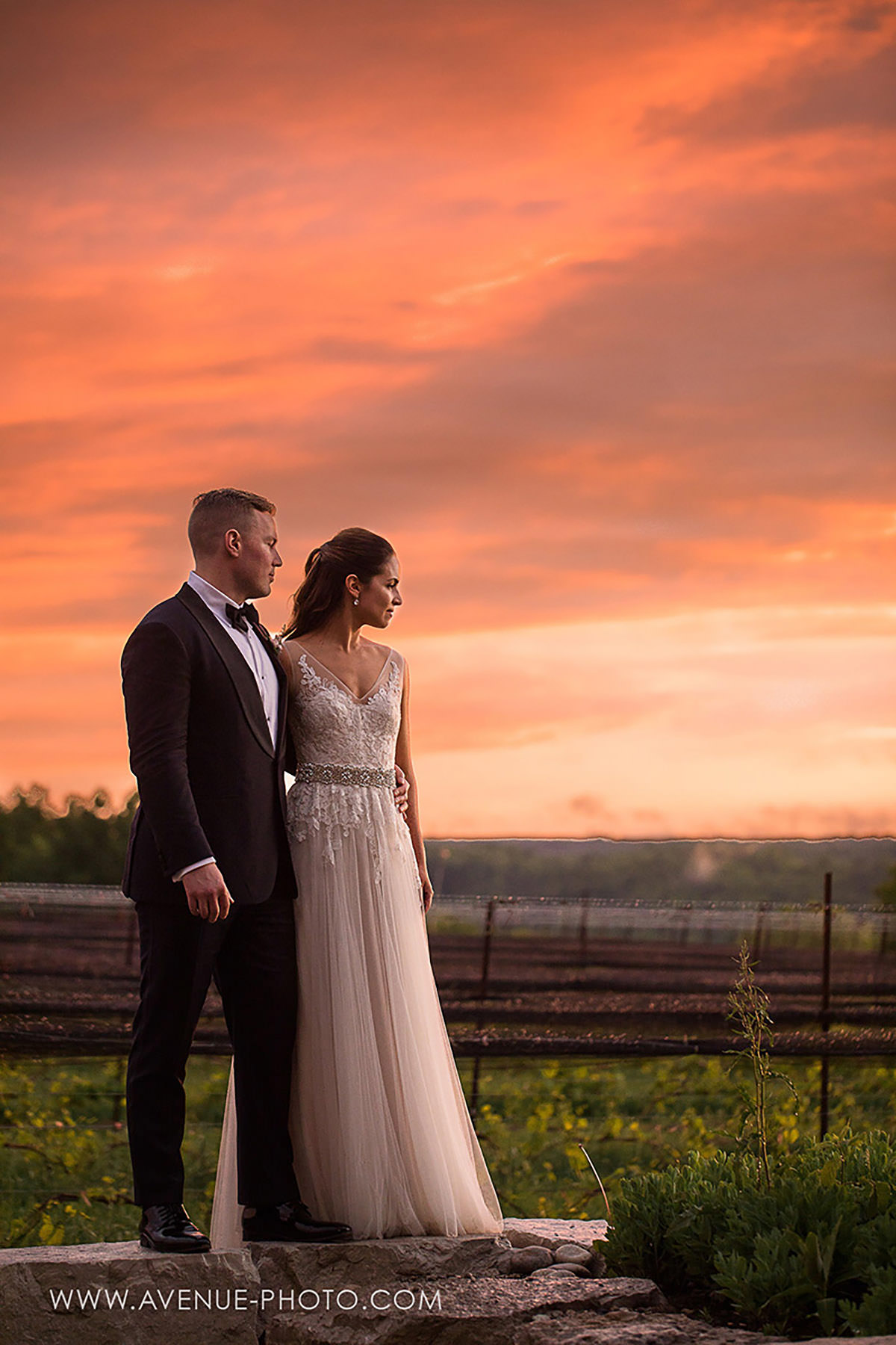 A pink sky and a couple staring out into the vineyard
