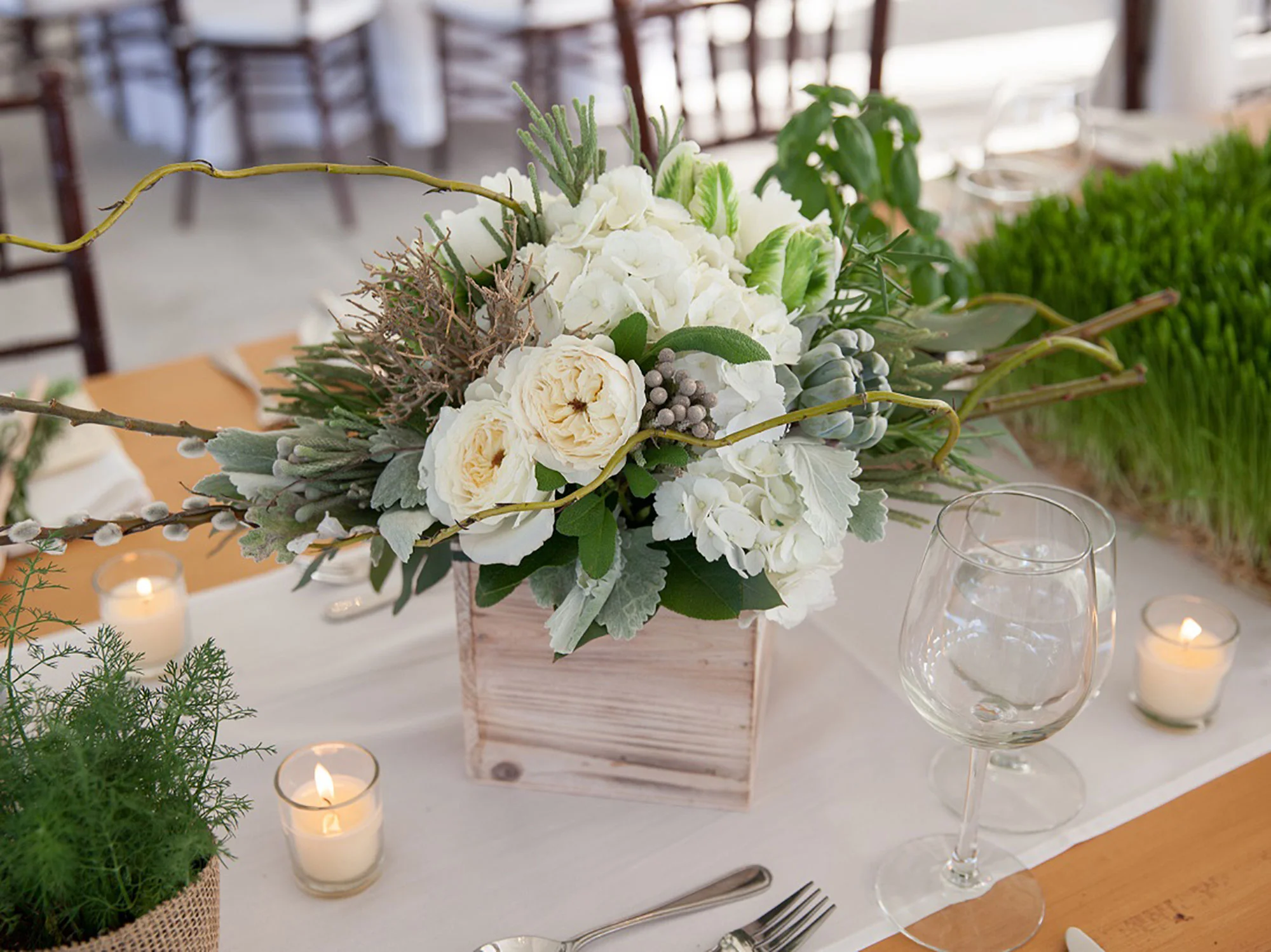  Gemini Photography 