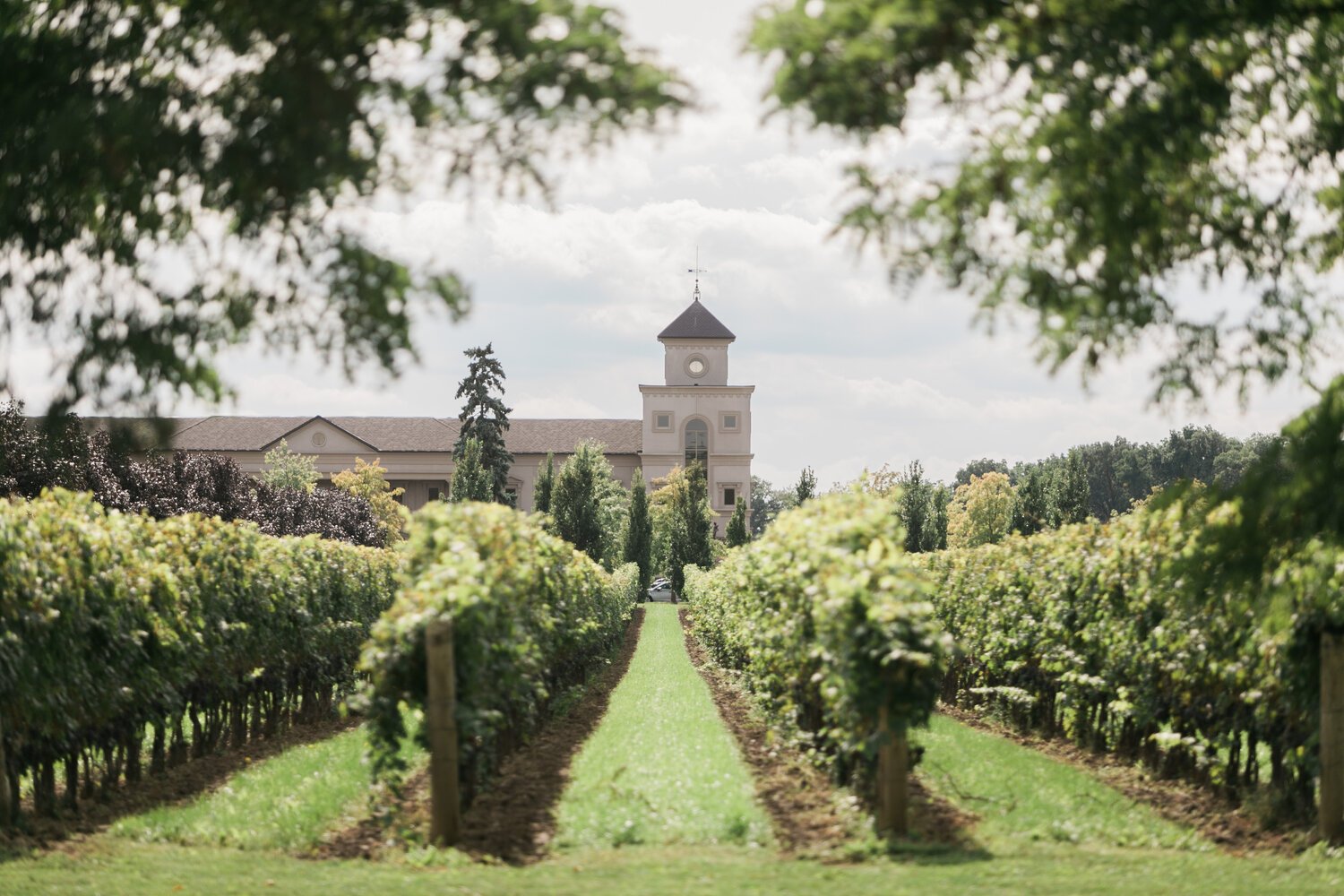 Two Sisters Vineyards