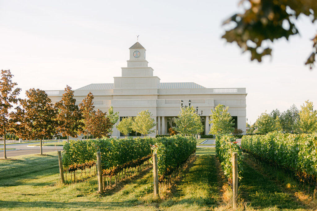 Stone Eagle Winery in the distance, nearing sunset with vineyards in front