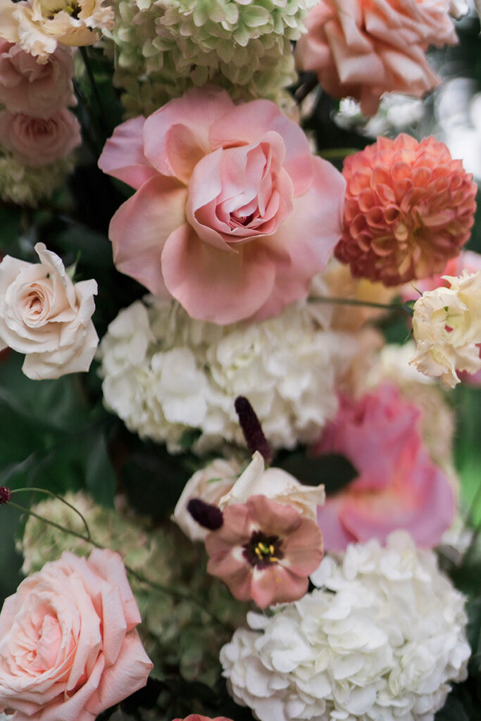 Pink and white flowers close up.