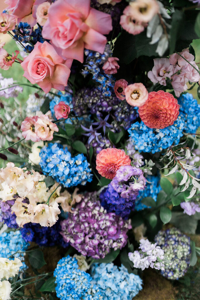 Colour flowers close up.