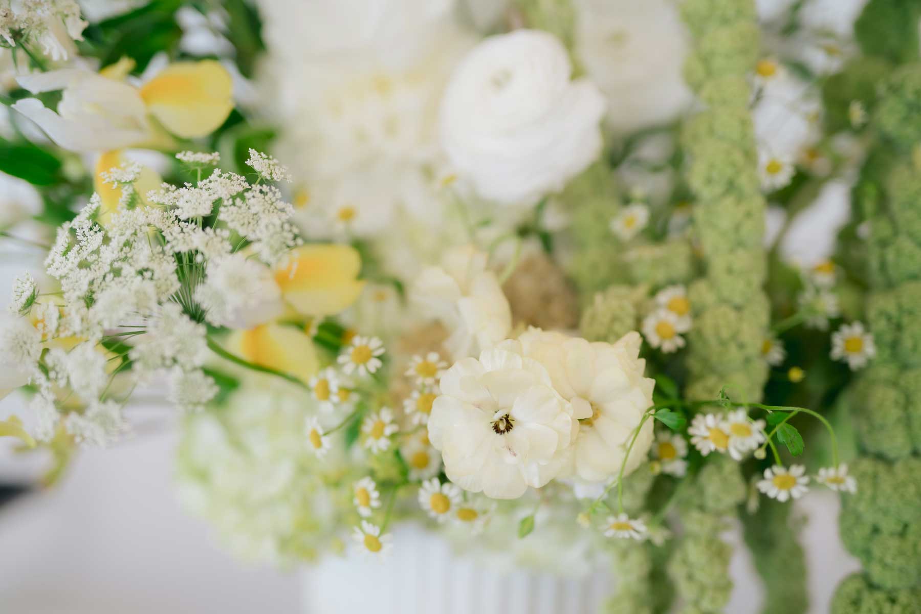white green and yellow florals